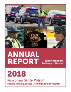 First page of 2018 WSP annual Report