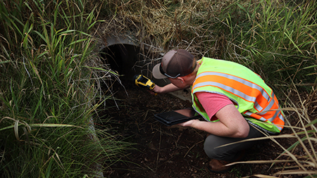 An intern in a safety vest poins a flashlight inside a culvert.