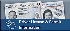Driver License and Permit Information