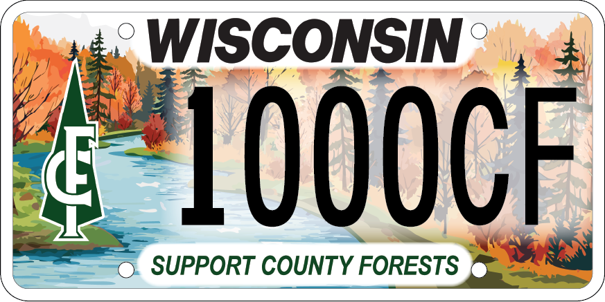 Wisconsin National Guard license plate.