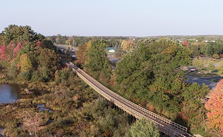 A boardwalk cutting across a scenic forest  and wetland