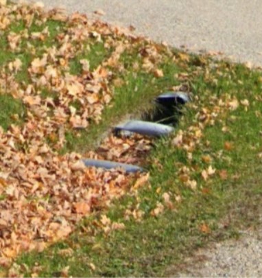 drainage