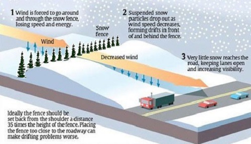 Living Snow Fence proposed locations