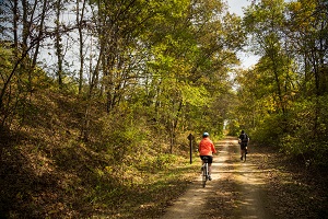 Photo along Great River State Trail