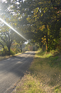 Photo of Rustic Road 110 taken by Sherri Bartels
