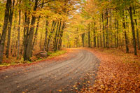 Photo of Rustic Road 32 taken by Kristi Schrampfer