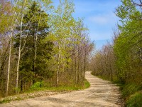 Photo of Rustic Road 63 taken by Ken Zingg