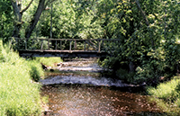 Photo of Rustic Road 82 taken by Nicholas Dahlinger